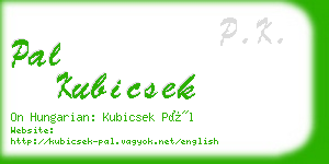 pal kubicsek business card